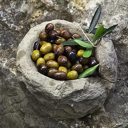 Κατάλυμα σε φάρμα Terre Del Mistero